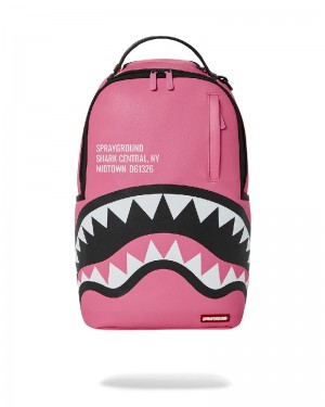 Rucsac Sprayground Shark Central (Pink) Backpack (Dlxv) | 673485-AWU