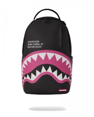 Rucsac Sprayground Shark Central Sorbet Dlxsv Backpack | 135962-KXR