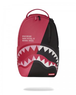 Rucsac Sprayground Shark Central Supernova | 654379-CXM