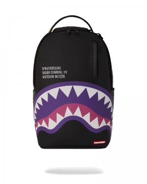 Rucsac Sprayground Shark Central Viola 360 Dlxsv Backpack | 836724-CJE