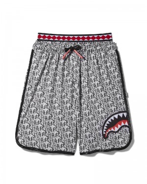 Înot Sprayground Sg All Day Swim Trunks | 396874-QMT